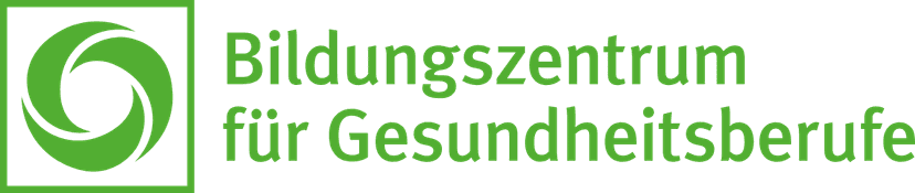 BZG Magdeburg Logo